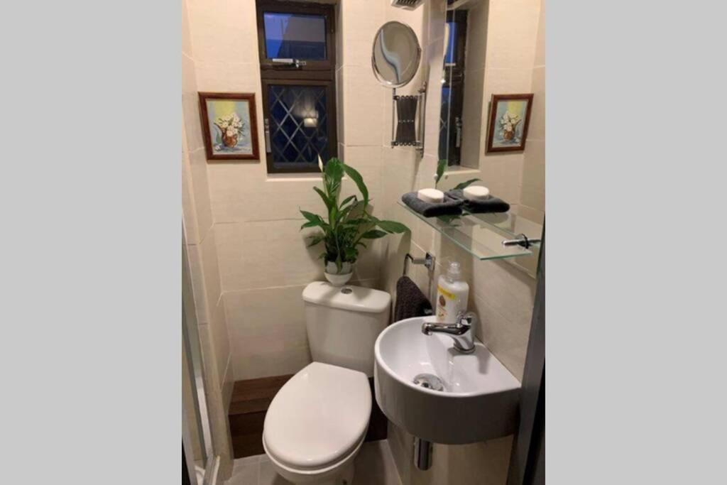 Upstairs Studio - Private Kitchenette And Small En-Suite Дъблин Екстериор снимка