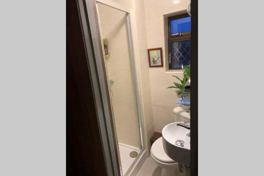 Upstairs Studio - Private Kitchenette And Small En-Suite Дъблин Екстериор снимка